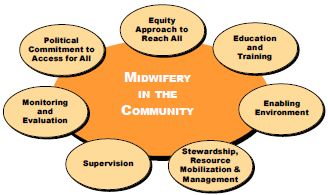 Framework of midwifery scale-up issues ©UNFPA